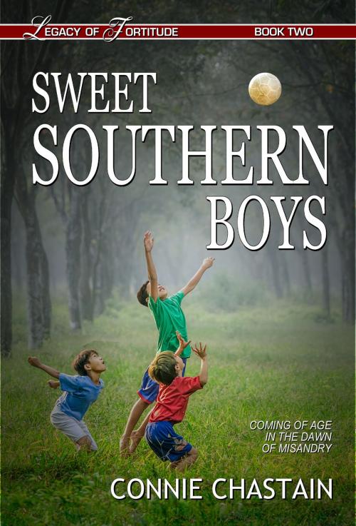 Cover of the book Sweet Southern Boys by Connie Chastain, Connie Chastain