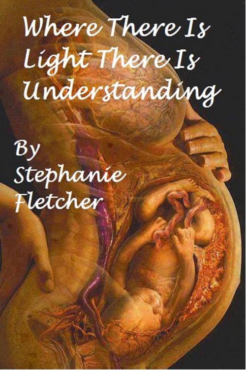Cover of the book Where There is Light, There is Understanding by Stephanie Fletcher, Stephanie Fletcher