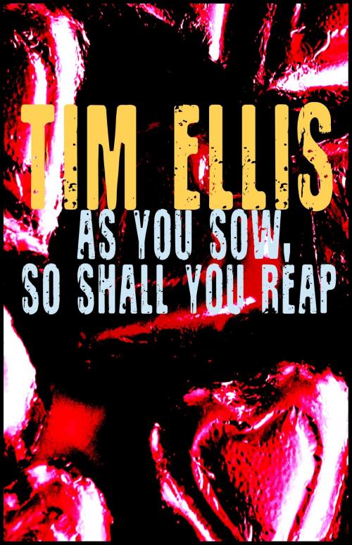 Cover of the book As You Sow, So Shall You Reap by Tim Ellis, Tim Ellis