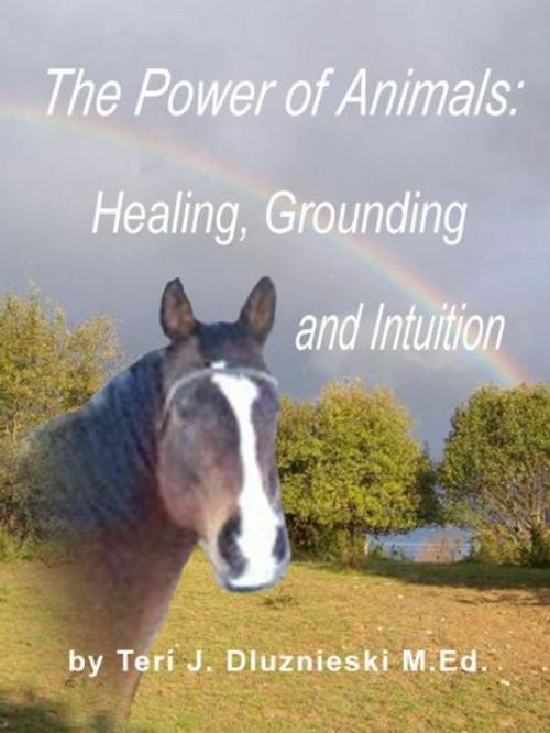 Cover of the book The Power of Animals: Healing, Grounding, and Intuition by Teri J. Dluznieski M.Ed., Teri J. Dluznieski M.Ed.