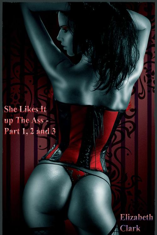 Cover of the book She Likes It up The Ass: Part 1, 2 and 3 by Elizabeth Clark, DoroClem Publishing