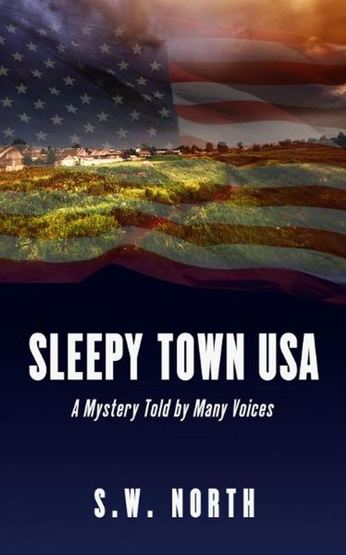 Cover of the book Sleepy Town USA by Barbara Kitscher, Barbara Kitscher