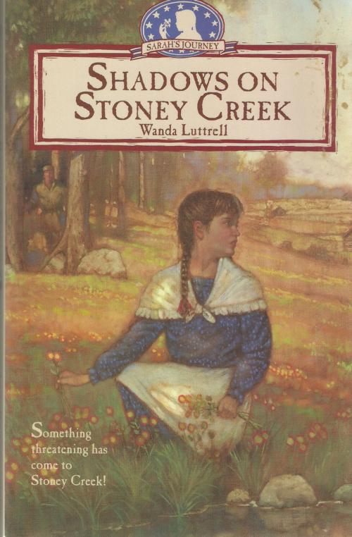 Cover of the book Shadows on Stoney Creek by Wanda Luttrell, Wanda Luttrell