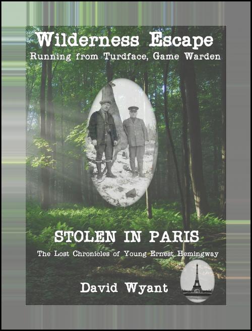 Cover of the book STOLEN IN PARIS: The Lost Chronicles of Young Ernest Hemingway: Wilderness Escape; Running from Turdface, Game Warden by David Wyant, David Wyant