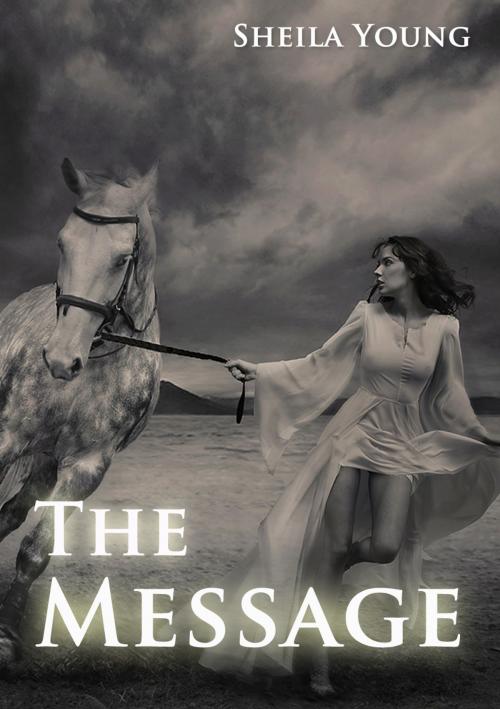 Cover of the book The Message by Shiela Young, Shiela Young
