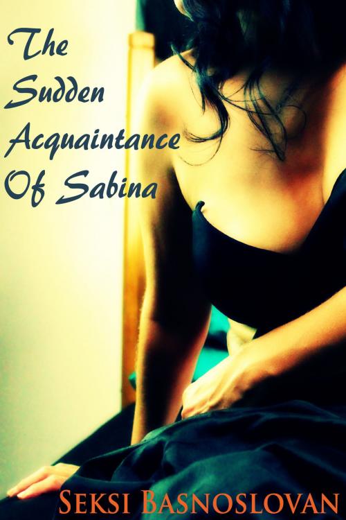 Cover of the book The Sudden Acquaintance of Sabina by Seksi Basnoslovan, Seksi Basnoslovan