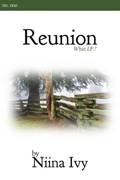 Cover of the book Reunion by Niina Ivy, Ivey Books