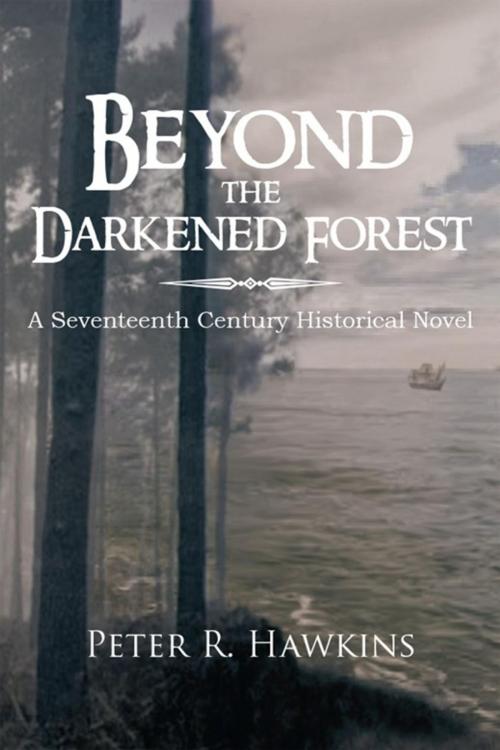 Cover of the book Beyond the Darkened Forest by Peter R. Hawkins, Xlibris UK