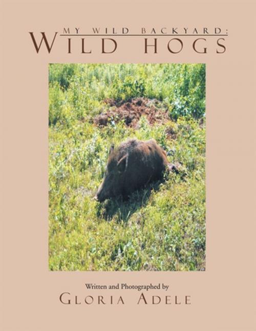Cover of the book My Wild Backyard: Wild Hogs by Gloria Adele, Xlibris US