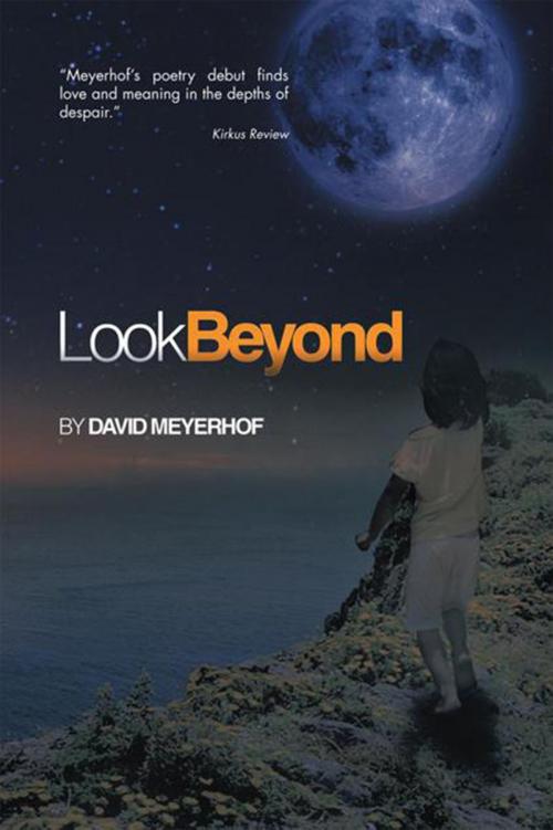Cover of the book Look Beyond by David Meyerhof, Xlibris US
