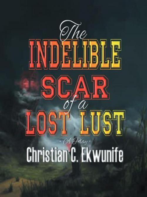 Cover of the book The Indelible Scar of a Lost Lust by Christian C. Ekwunife, AuthorHouse