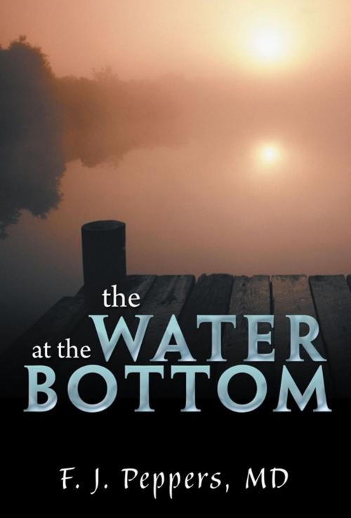 Cover of the book The Water at the Bottom by F. J. Peppers, AuthorHouse