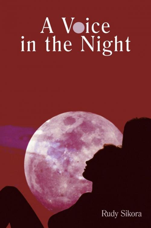 Cover of the book A Voice in the Night by Rudy Sikora, AuthorHouse