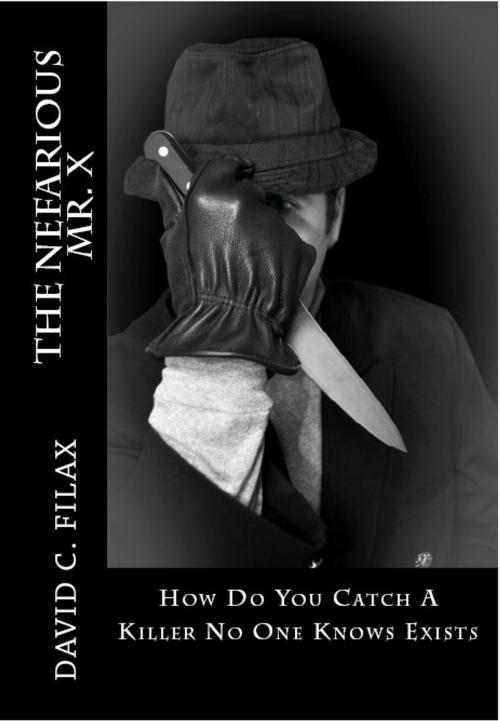 Cover of the book The Nefarious Mr. X by David C Filax, CreateSpace