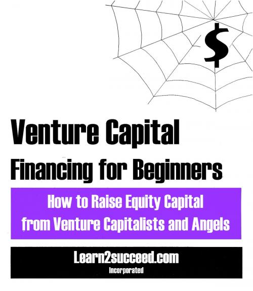 Cover of the book Venture Capital Financing for Beginners by Learn2succeed, Productive Publications