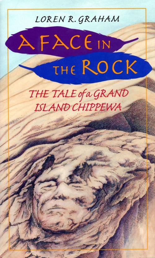 Cover of the book A Face in the Rock by Loren R. Graham, Island Press