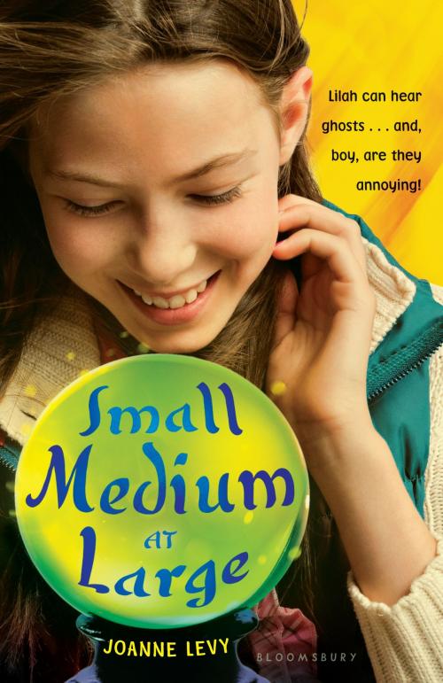 Cover of the book Small Medium at Large by Joanne Levy, Bloomsbury Publishing