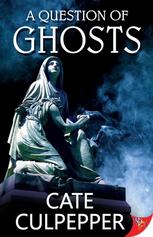 Cover of the book A Question of Ghosts by Cate Culpepper, Bold Strokes Books ,  Inc.