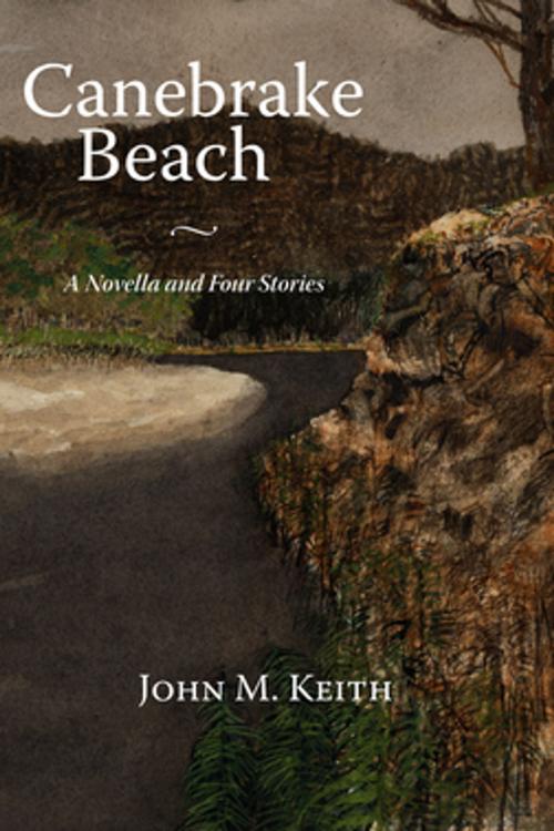 Cover of the book Canebrake Beach by Rev. John M. Keith, NewSouth Books
