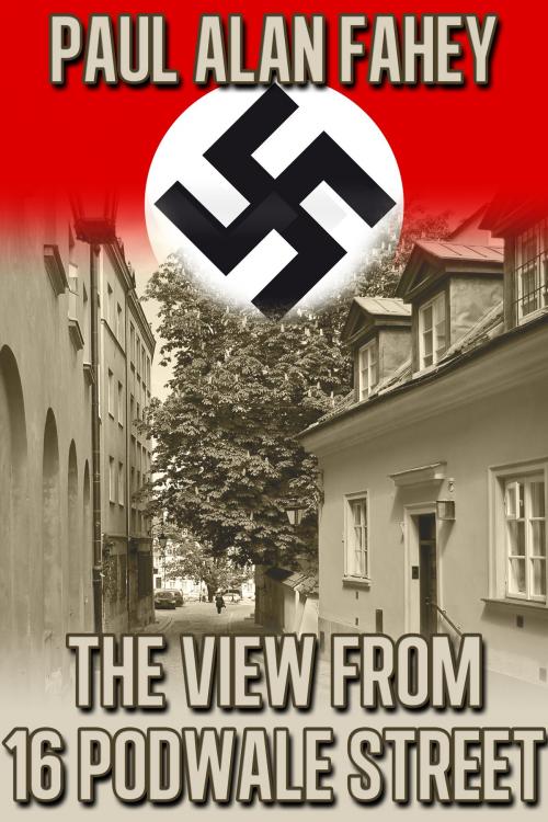 Cover of the book The View from 16 Podwale Street by Paul Alan Fahey, JMS Books LLC