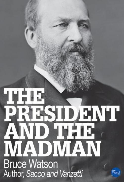 Cover of the book The President and The Madman by Bruce Watson, New Word City, Inc.