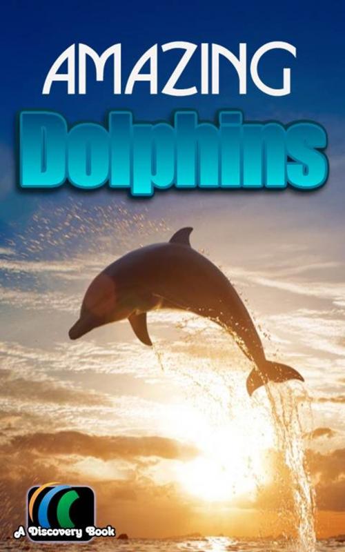 Cover of the book Amazing Dolphins: A Discovery Book by A Discovery Book, Smashbooks
