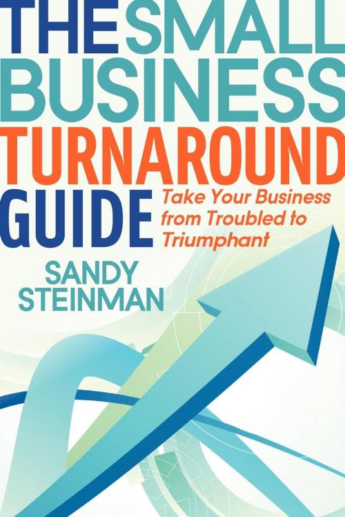Cover of the book The Small Business Turnaround Guide by Sandy Steinman, Morgan James Publishing