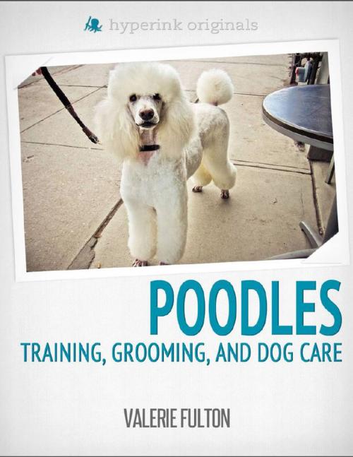 Cover of the book Poodle: Training, Grooming, and Dog Care by Valerie  Fulton, Hyperink