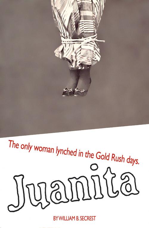Cover of the book Juanita by William B. Secrest, The Write Thought