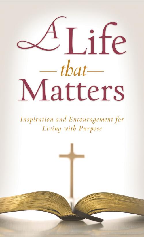Cover of the book A Life That Matters by Kimberley Woodhouse, Barbour Publishing, Inc.