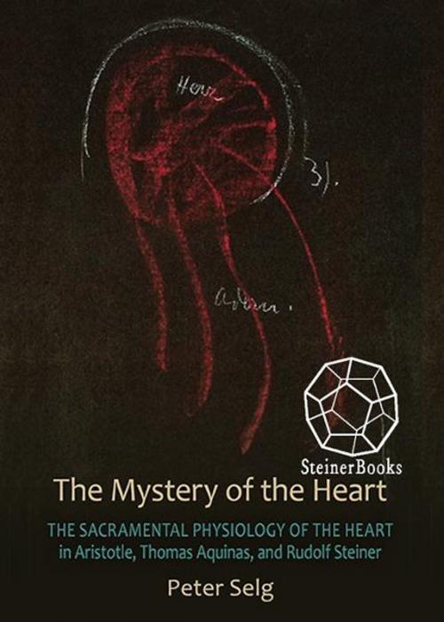 Cover of the book The Mystery of the Heart: The Sacramental Physiology of the Heart in Aristotle, Thomas Aquinas, and Rudolf Steiner by Peter Selg, Steinerbooks