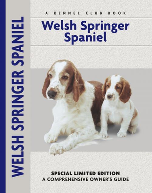 Cover of the book Welsh Springer Spaniel by Haja Van Wessem, CompanionHouse Books