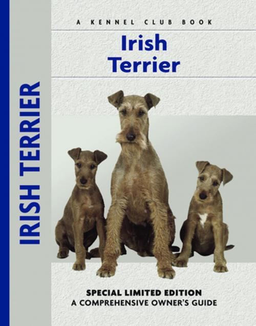Cover of the book Irish Terrier by Bardi McLennan, CompanionHouse Books