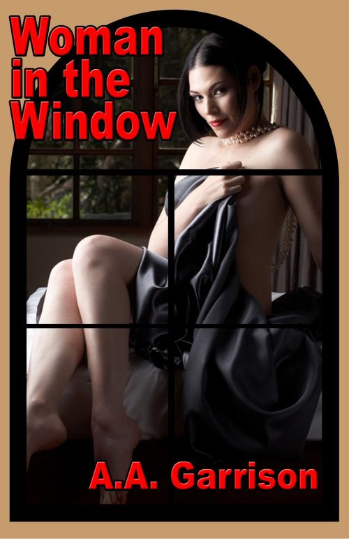 Cover of the book Woman in the Window by A.A. Garrison, Enspire Publishing