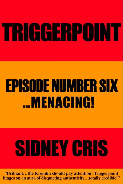 Cover of the book Triggerpoint Episode Number Six... Menacing! by Sidney Cris, BookBaby