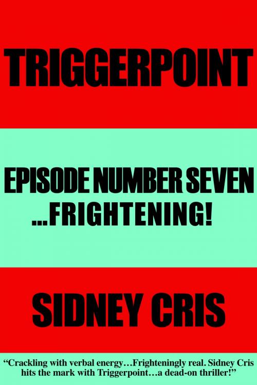 Cover of the book Triggerpoint Episode Number Seven...Frightenting! by Sidney Cris, BookBaby