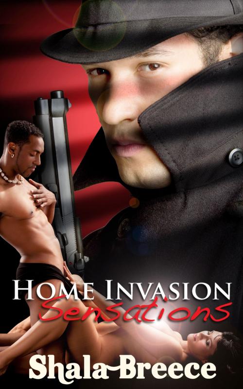 Cover of the book Home Invasion Sensations by Shala Breece, Xplicit Press