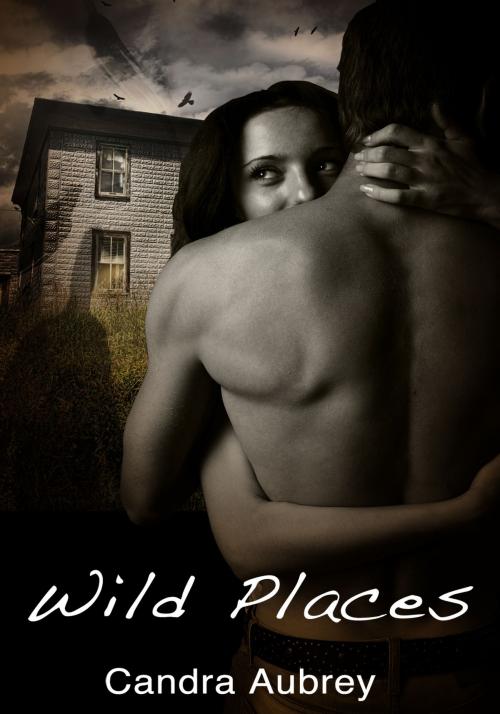 Cover of the book Wild Places by Candra Aubrey, Xplicit Press