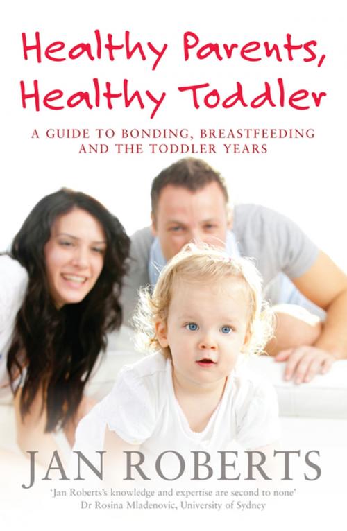 Cover of the book Healthy Parents, Healthy Toddler: A Guide to Bonding, Breast Feeding and the Toddler Years by Jan Roberts, Penguin Random House Australia