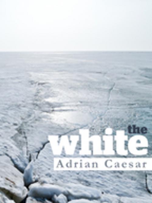 Cover of the book The White by Adrian Caesar, Pan Macmillan Australia