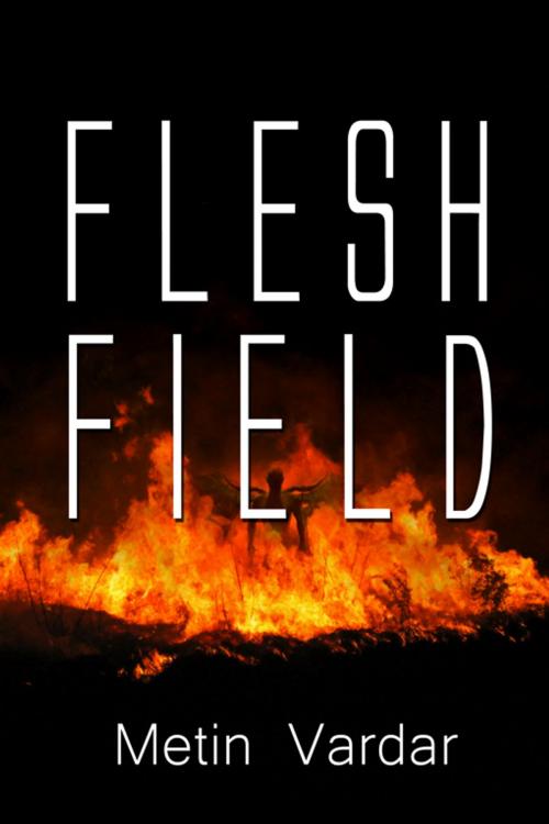 Cover of the book Flesh Field by Metin Vardar, Double Dragon Publishing