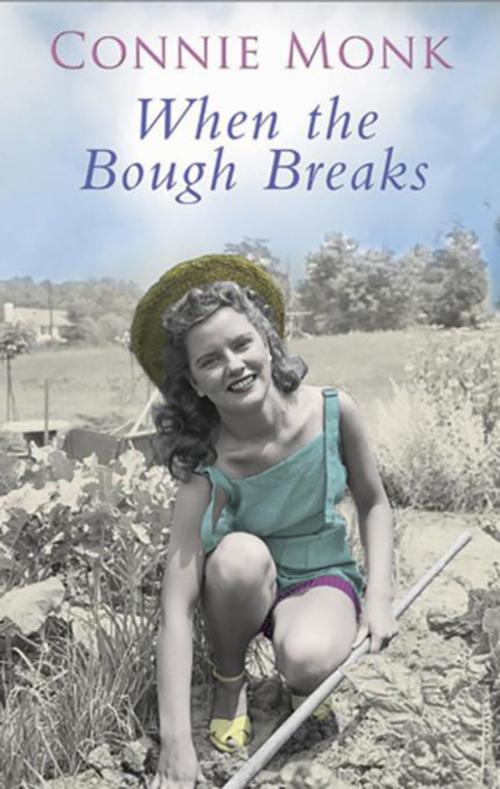 Cover of the book When the Bough Breaks by Connie Monk, Severn House Publishers