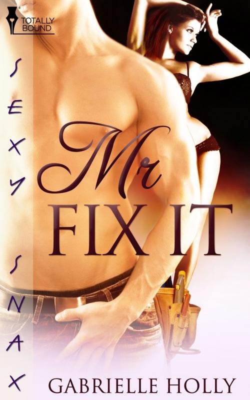 Cover of the book Mr. Fix-It by Gabrielle Holly, Totally Entwined Group Ltd