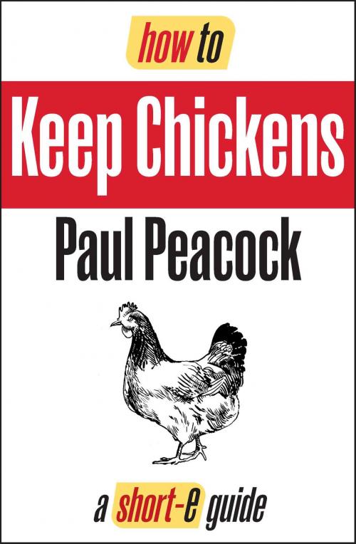 Cover of the book How To Keep Chickens (Short-e Guide) by Paul Peacock, How To Books Ltd