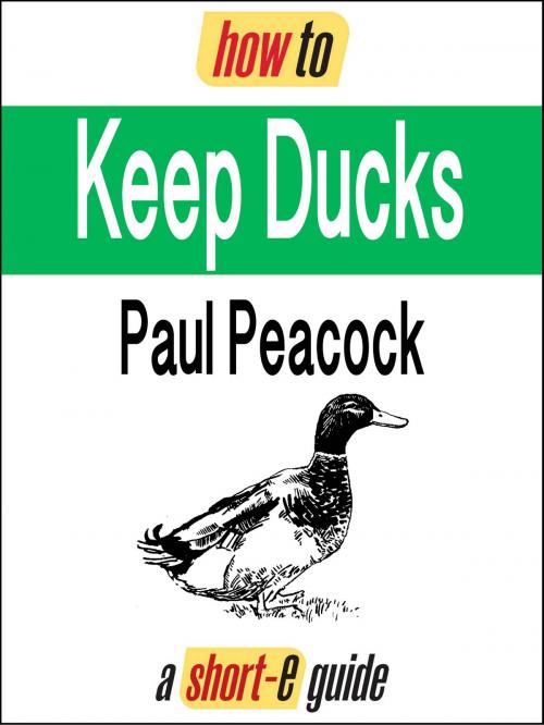 Cover of the book How To Keep Ducks (Short-e Guide) by Paul Peacock, How To Books Ltd