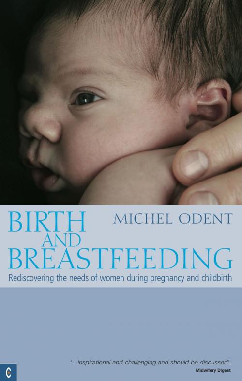 Cover of the book Birth and Breastfeeding by Michel Odent, Rudolf Steiner Press