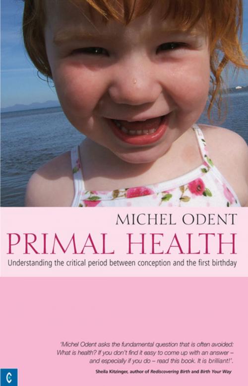 Cover of the book Primal Health by Michel Odent, Rudolf Steiner Press