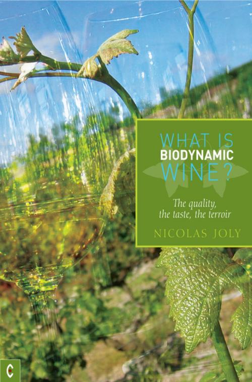 Cover of the book What is Biodynamic Wine? by Nicholas Joly, Rudolf Steiner Press