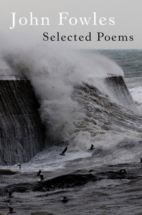 Cover of the book Selected Poems by John Fowles, Flambard Press