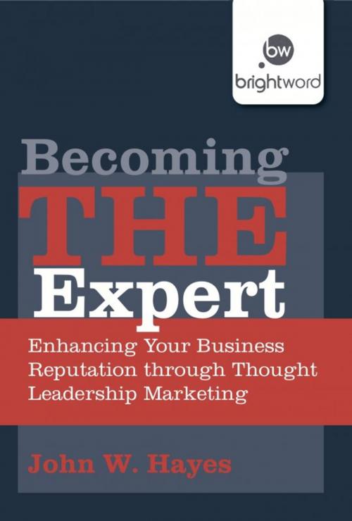 Cover of the book Becoming THE Expert by John W. Hayes, Harriman House